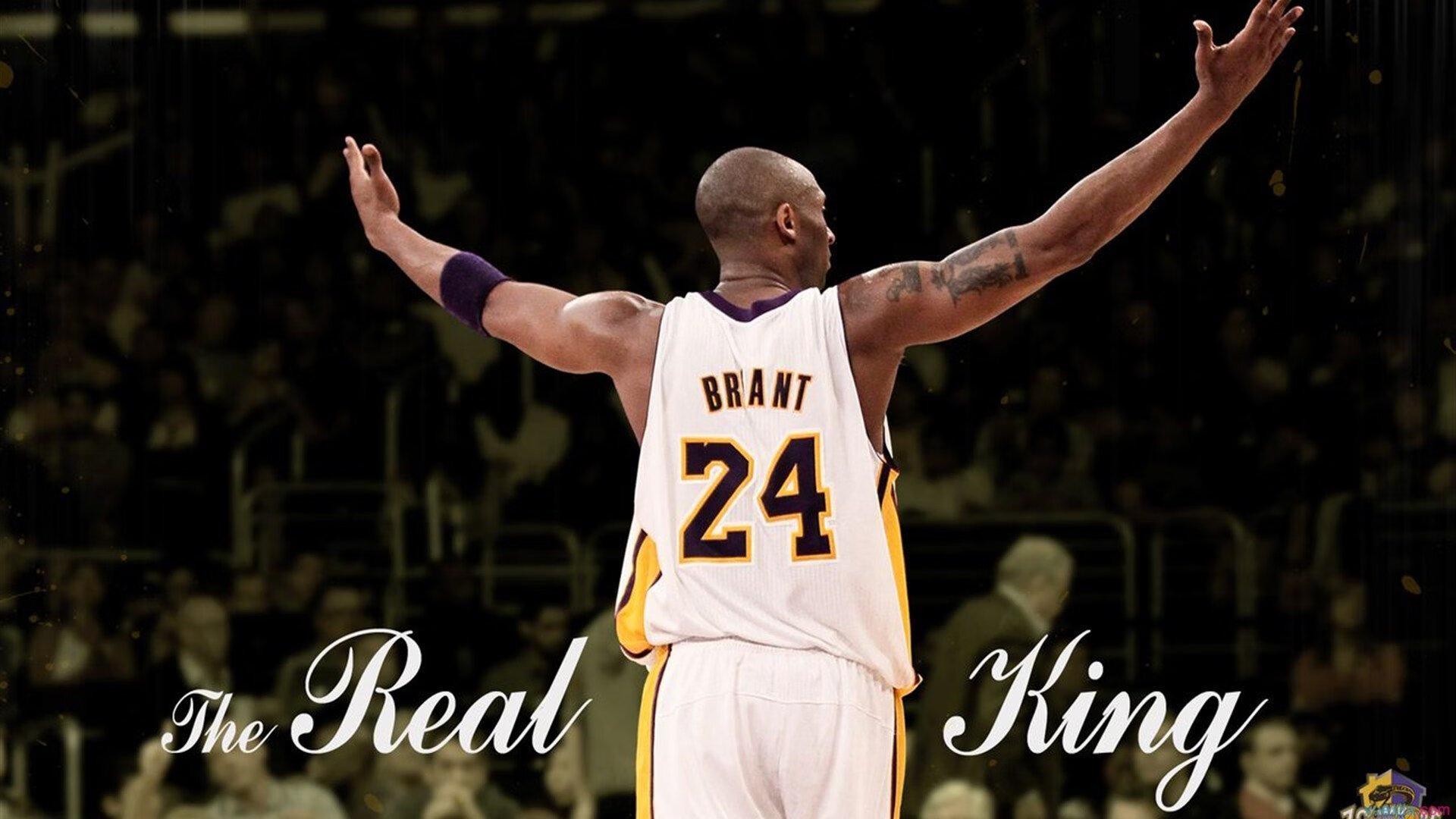 纳达尔连续二十场比赛得分超过关键助攻，C9挑战极限！